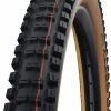 Schwalbe Big Betty Evo Super Gravity 29x2,40" Addix Soft E-50 Pneus Pliants